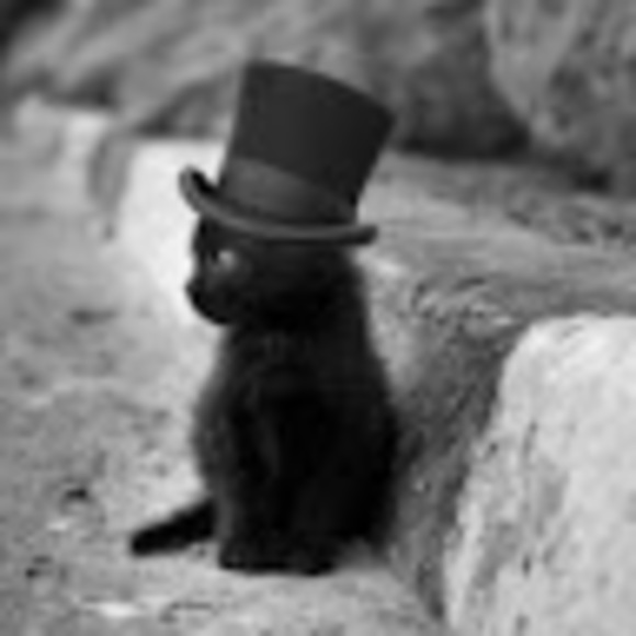 rosie_the_cat